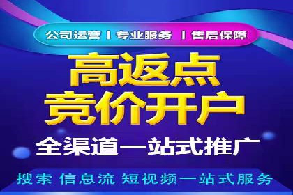某知名企业SEM营销全案解析